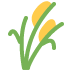 🌾
